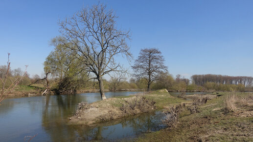 VSG Lippeaue, Hellinghauser Mersch; Bild: P. Salm