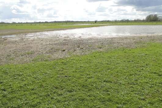 NSG Hübsche Grändort, Blänke Nord; Bild: Naturschutzzentrum im Kreis Kleve