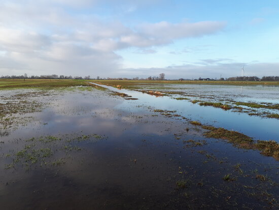 VSG Unterer Niederrhein; Bild: NABU Naturschutzstation Niederrhein