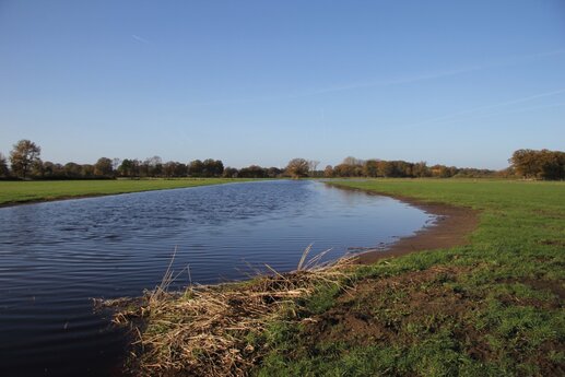 VSG Münsterland-Nord, Wiesen am Max-Clemens-Kanal; Bild: Biologische Station Kreis Steinfurt