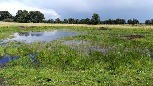 VSG Münsterland-West; Bild: Siobhan Loftus