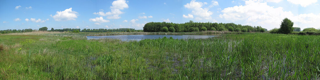 VSG Bastauwiesen; Biologische Station Minden Lübbecke