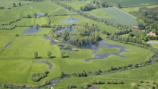 VSG Lippeaue, Hellinghauser Mersch mit Blick auf Krumme Wende; Bild: L. Hauswirth