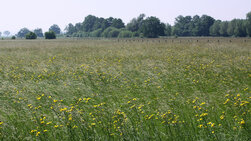 Bild des NSG Rabbruch; Bild: Gerhard Lakmann