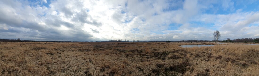 Ein Blick in das Hündfelder Moor; Foto: Daniela Reich Ein Blick in das Hündfelder Moor; Foto: Daniela Reich