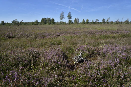 VSG Münsterland-West; Bild: C. Rueckriem