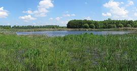 VSG Bastauwiesen; Biologische Station Minden Lübbecke