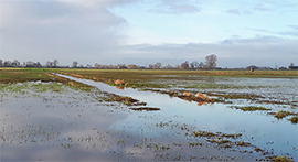 VSG Unterer Niederrhein; Bild: NABU Naturschutzstation Niederrhein