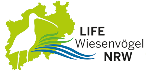 Logo: NRW-Karte mit der Silhouette des Großen Brachvogels und dem Schriftzug LIFE Wiesenvögel NRW